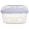 Whitefurze 2.3L Square Food Storage Box with Lid F0660