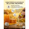 Miel Virgen Abeja Melipona Mirikam 100 Natural Pura