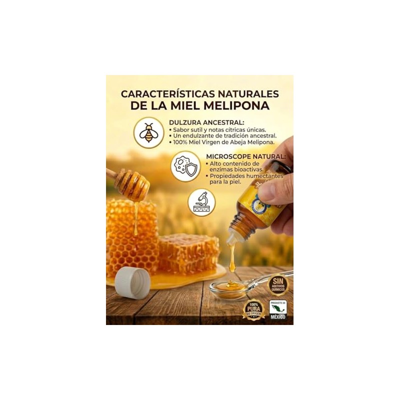 Miel Virgen Abeja Melipona Mirikam 100 Natural Pura