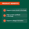 Nature's Own Double Strength Cold Sore Relief 100 Tablets