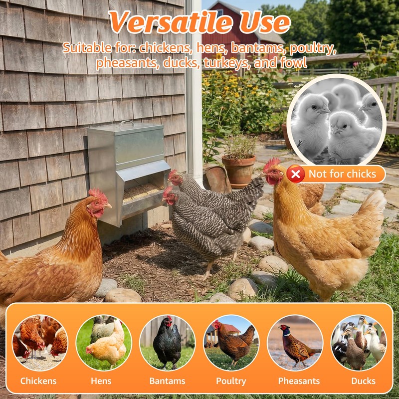 Metal Trough Feeder with Lid - 10lb Capacity,Compatible with Chicken