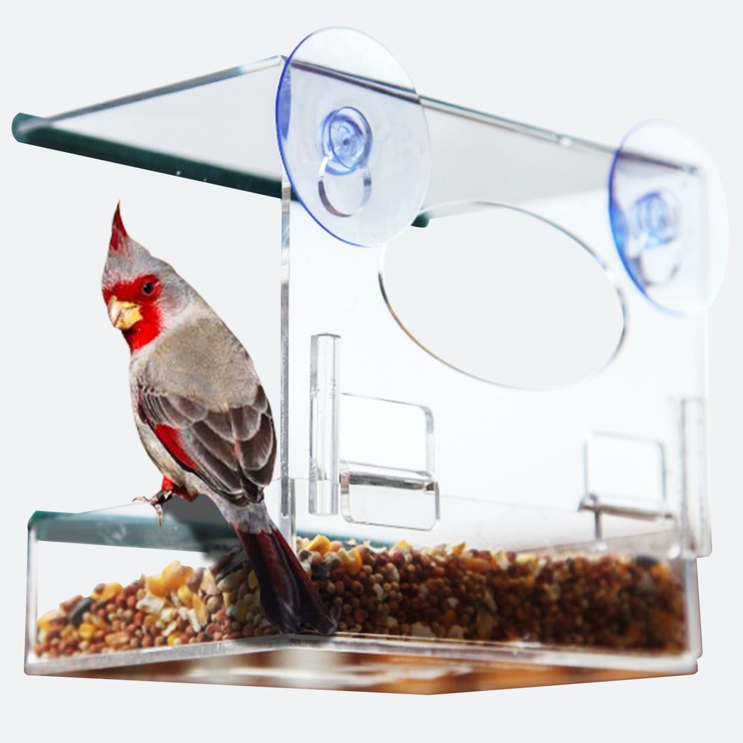 Red Earth Naturals Best Window Bird Feeder - Bird Feeders for Outside with Strong Suction Cups & Removable Tray - Fun Gift