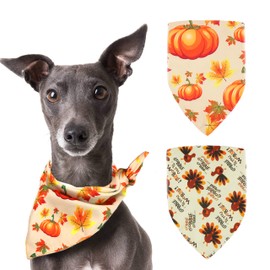Pohshido Dog Thanksgiving Bandana Fall Pumpkin Constume Triangle Bibs for Pets, 2 Pack Reversible Puppy Holiday Bandana Small Medium Large Dog Turkey Scarf for Dogs Cats Pets Animal