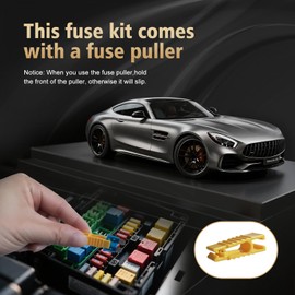 Nayoto 1200pcs Car Fuses Assortment Kit, 520PCS Standard Fuse Kit & 680PCS Mini Fuses + 1 Puller for Auto/RV/Truck/Motorcycle/Yacht (2A 3A 5A 7.5A 10A 15A 20A 25A 30A 35A 40A)