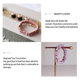 townssilk Silk Hair Loop, 100% Pure Mulberry Silk, 22 Momme, Hair-friendly, Luxurious, Bouncy, Hair Elastics, Pack of 5 Combinations