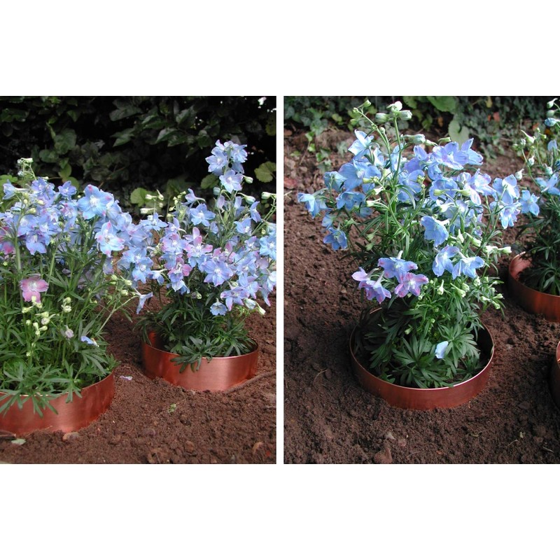 Slug Rings Copper Snail Rings Starter Kit 3 x 10cm