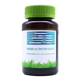 Suplemento Cápsulas Vidanat Aceite Oregano Minerales Vitaminas Frasco 60g