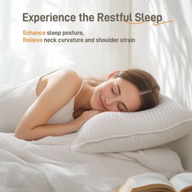 Lyralith Hypoallergenic Cotton Cover with Soft Down Alternative Pillows, King Size Set of 2, Luxury Hotel Quality, Ideal for Side, Back and Stomach Sleepers, Oeko-TEX Certified