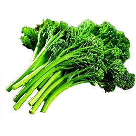 Park Seed Aspabroc Hybrid Broccoli Seeds, 2 Packs of 20 Seeds