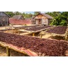 25 Organic Madagascar Vanilla Beans - Whole Extract Grade B