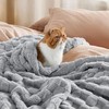 Bedsure Fleece Throw Blanket for Sofa - Soft Cosy Checkered