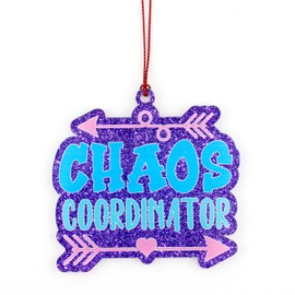 Chaos Coordinator gifts, Thank You Gifts for Women, Boss, Coworker, Manager, Office, Teacher, Nurse, Mom - Boss Lady Gift Ideas - Administrative Professional Day, Birthday Gift