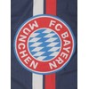 FC Bayern München Hoisting Flag Navy 180 x 120 cm