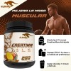 Creatina Klokan Monohidratada 1kg 200serv. Varios Sabores
