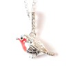 equilibrium Robins Appear Silver Plated Pendant Necklace