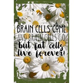 Daisy Flower Wall Art Brain Cells come and Go But Fat Cells Live Forever Funny Body Hanging Wall Sign 8 x 12 Decor Funny Gift