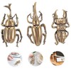 3 Pieces Beetle Ornaments Brass Bugs Figurine Small Beetle Statue