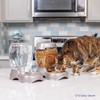 PETMATE Pet Cafe Pet Waterer, 14 GAL, Pearl Lady Pink,