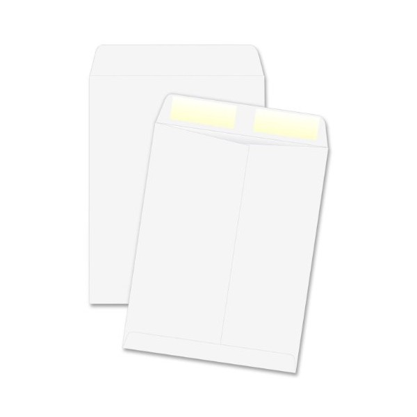 Quality Park Large Format/Catalog Envelopes, 9 x 12 inches, 250