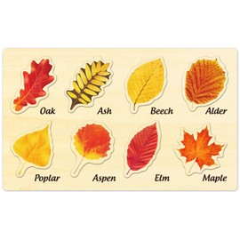 Leaf Wooden Jigsaw Puzzles by MoinKidz, Leaf Puzzle Fall Toys for Toddler, Montessori Puzzles for Kids Ages 3-5, STEM Educational Learning Toys Birthday Gift for Boys and Girls