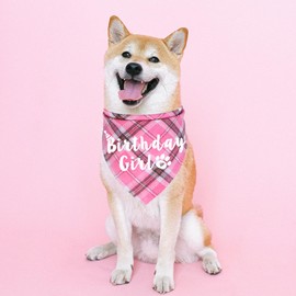 JOTFA Dog Birthday Bandana, Multi Sizes Birthday Bandana for Dogs Dog Birthday Girl Bandana for Medium Large Dogs Pets (Pink, Large)