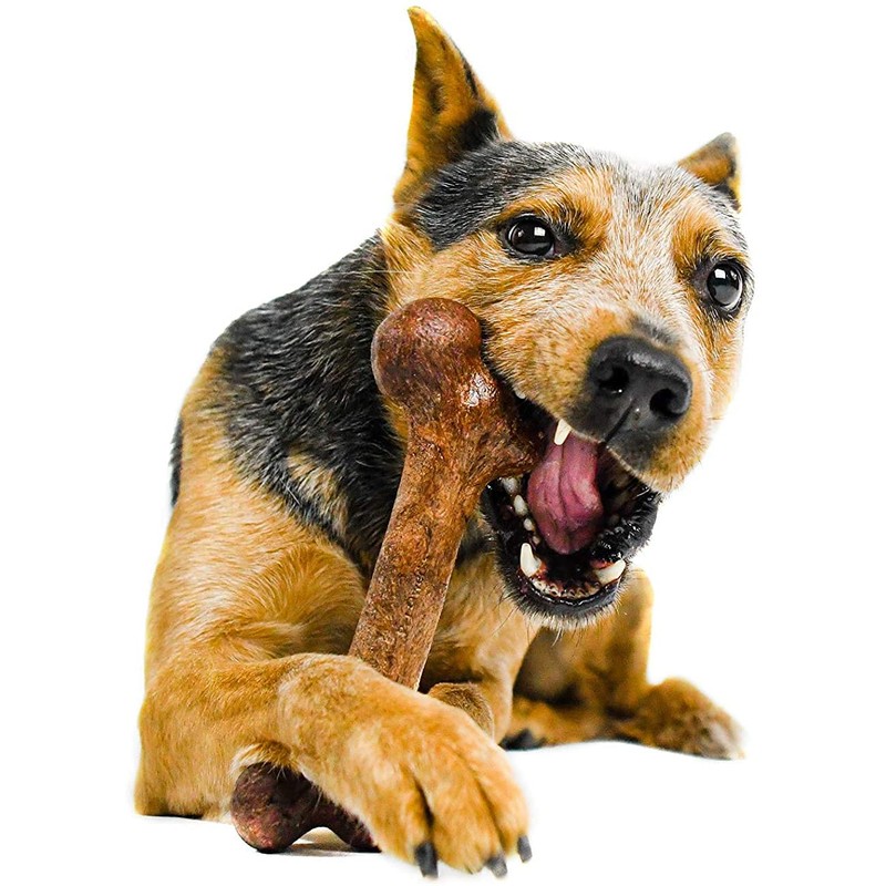 Pet Qwerks Extreme Dinosaur BarkBone Dog Chew Toy