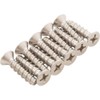 Pentair Water Pool and Spa 630056 Screw Kit Hole for