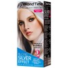 Blond Time Hair bleach product silver effect. Professional results