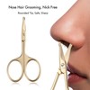 LIVINGO 3.75" Small Safety Facial Nose Hair Scissors, Curved Blade