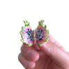 Funny Mini Pitaya Hair Clip,Novelty Acetate Claw Clips,Small Hair Clips