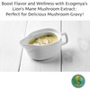 Ecogenya Continental Lion's Mane (hericium erinaceus) Mushroom Extract Powder -