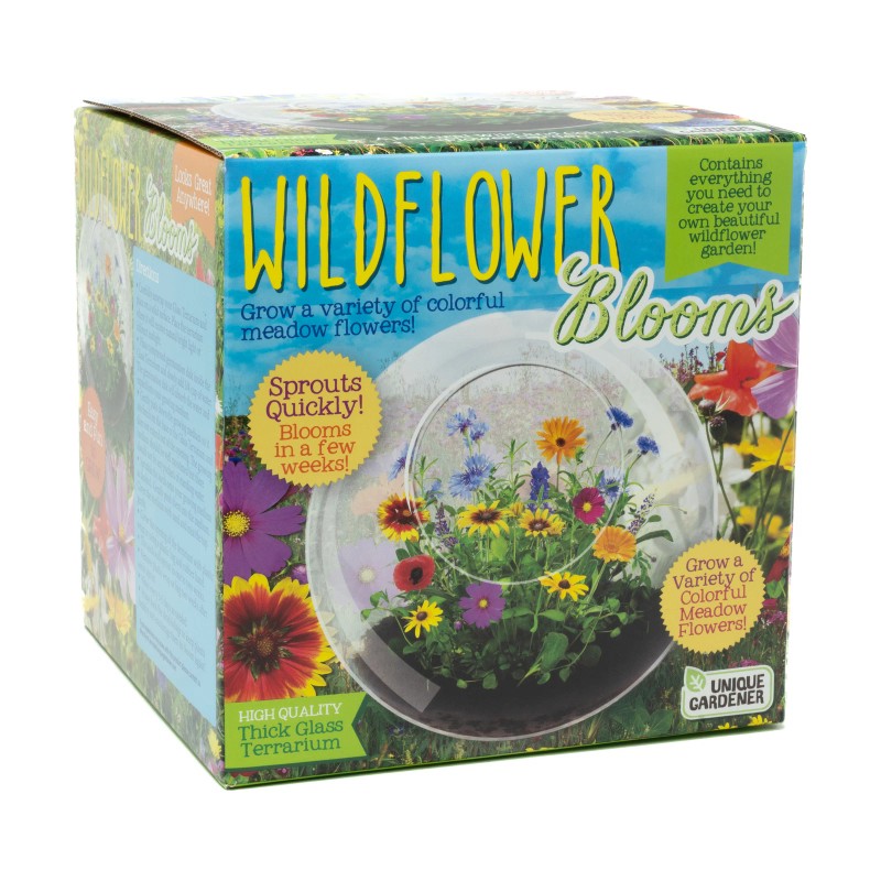 Unique Gardener New - Unique Gardener Glass Terrarium - Wildflower