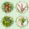 Pack of 80 Plant Benders Lst Clips Red and Green