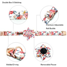 Lionheart Glory Floral Dog Collar - Soft, Durable & Adjustable for Small Dogs