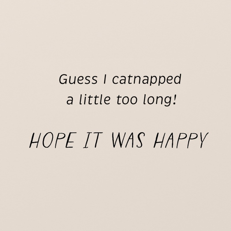 American Greetings Funny Belated Birthday Card (Catnapped)