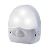 Pentatech AN 03 Automatisches LED-Nachtlicht mit PIR Bewegungsmelder