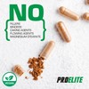 Rhodiola Rosea Extract 500mg 120 Vegan Capsules | 3% Standardised