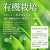 アサヒ緑健公式 緑効青汁×コラーゲン 60袋 （5ｇ×60袋入） 大麦若葉 乳酸菌 オリゴ糖 食物繊維 粉末