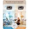 EDISHINE 21" Pre-Assembled Ceiling Fans with Lights Flush Mount, 10%-100%