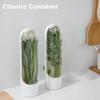 QOTSTEOS 2pcs Fresh Herb Keeper, Herb Saver, Herbs Keeper for