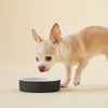PAIKKA Slow Feed Bowl Black XS