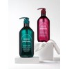 Jenny House Salon Spa Shampoo 1000g / 제니하우스 살롱스파 샴푸