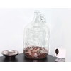 Skywin Swear Jar, Glass Coin Jar for Adults, Large Money