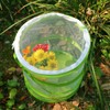 RESTCLOUD Pop-up Insect and Butterfly Habitat Cage Terrarium Clear Mesh
