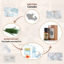 AKARZ Natural Organic Premium Pine Needle Essential Oil for Skin, Hair Care, Diffuser, Candle, Soap Making, DIY, Massage - 0.34 Fl Oz (10ml)