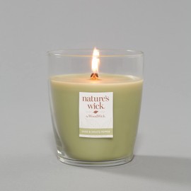 Nature's Wick Sage & White Pepper Scented Candle 10 ounces
