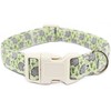 Hedgehog Dog Collar for Small Dogs, Green Pet Collar with