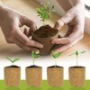 Premium Bonsai Kit,Complete Bonsai Starter Kit with Wooden Gift Box,repotting