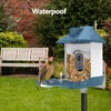 Bird Feeder with Camera,AI Identify Birds Species,Smart Birds Camera with