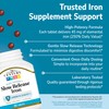 21st Century Slow Release Iron Tablets, 60 Count